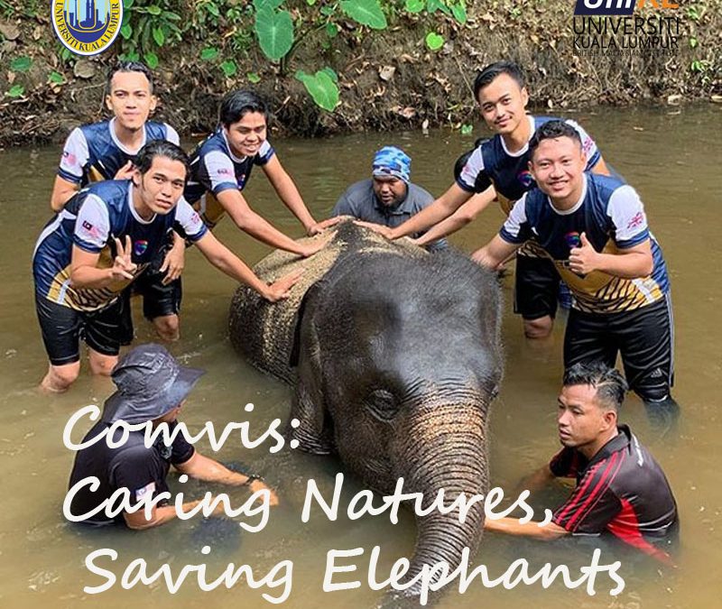 Comvis Caring Natures, Saving Elephants